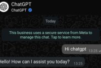 ChatGPT Kini Bisa Diakses Langsung Melalui WhatsApp